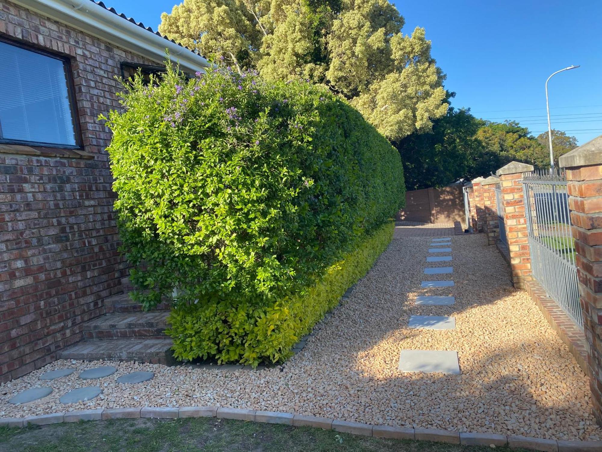 Glenelg Road Guesthouse Fernglen Exterior photo